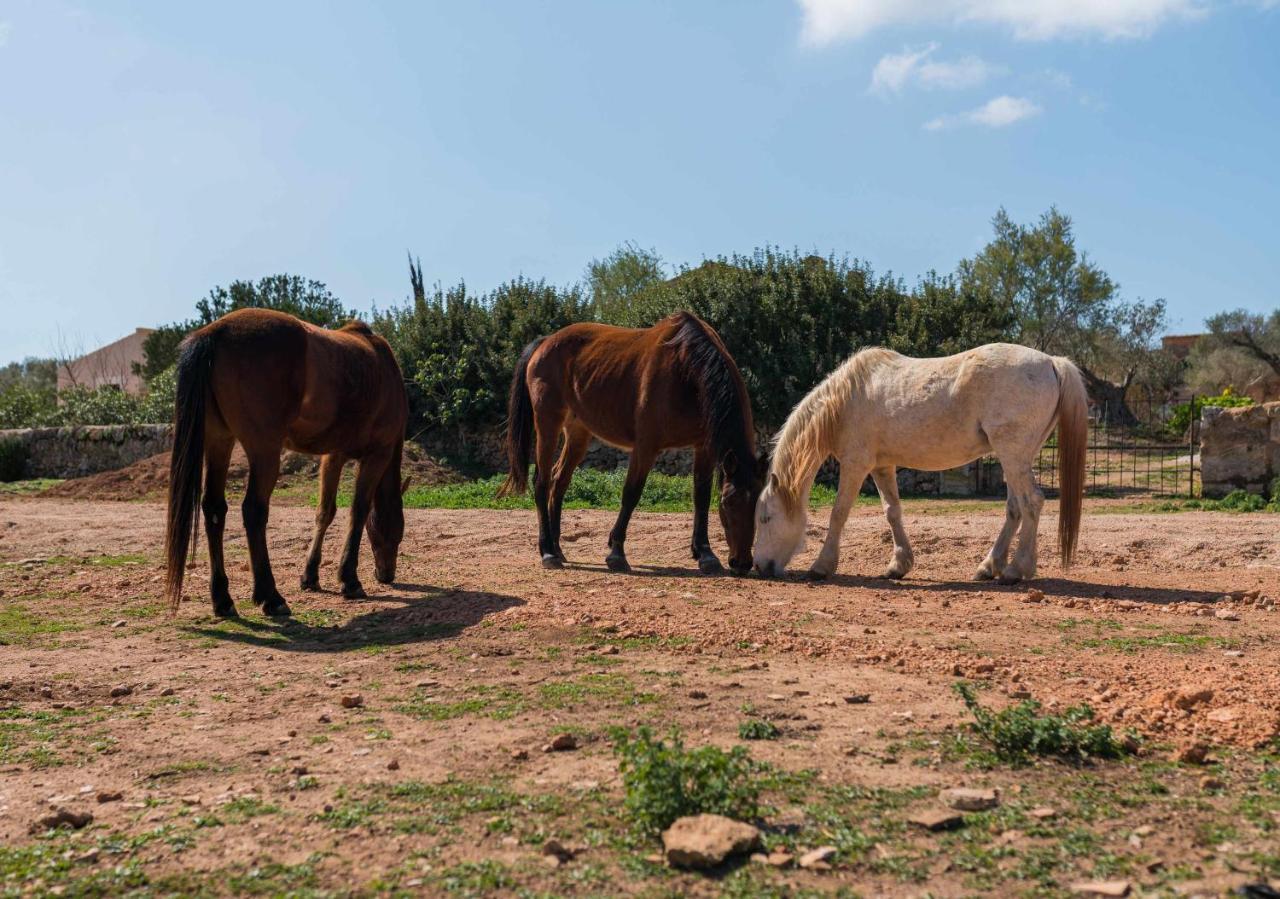 Agroturismo Sa Canoveta Colonia de Sant Jordi ภายนอก รูปภาพ